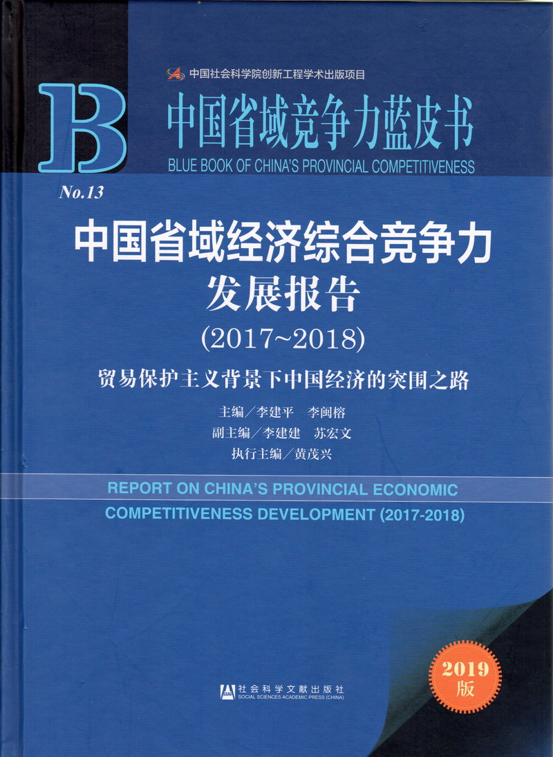 插逼插逼x8中国省域经济综合竞争力发展报告（2017-2018）